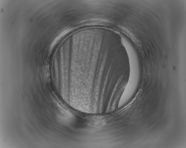 X0000079281164200612081746