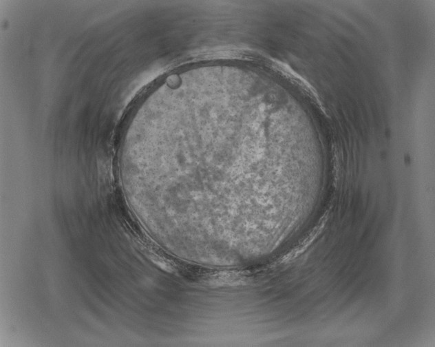 X0000079281166200612081746