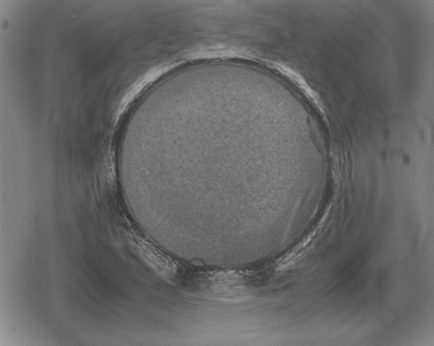 X0000079281167200612081746