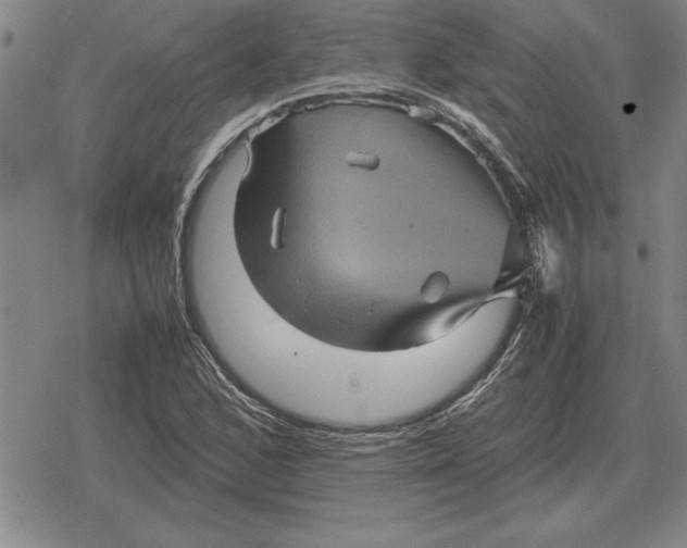 X0000079281168200612081746