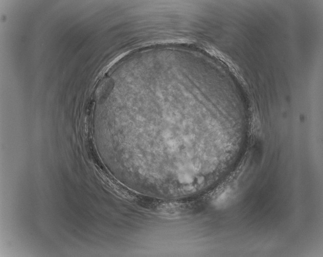 X0000079281169200612081746