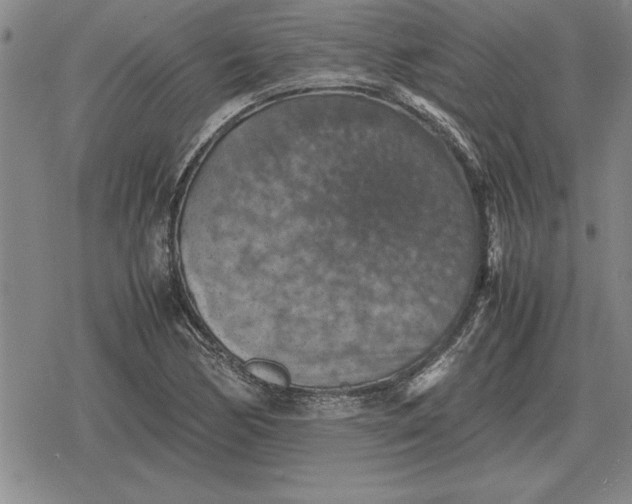 X0000079281170200612081746