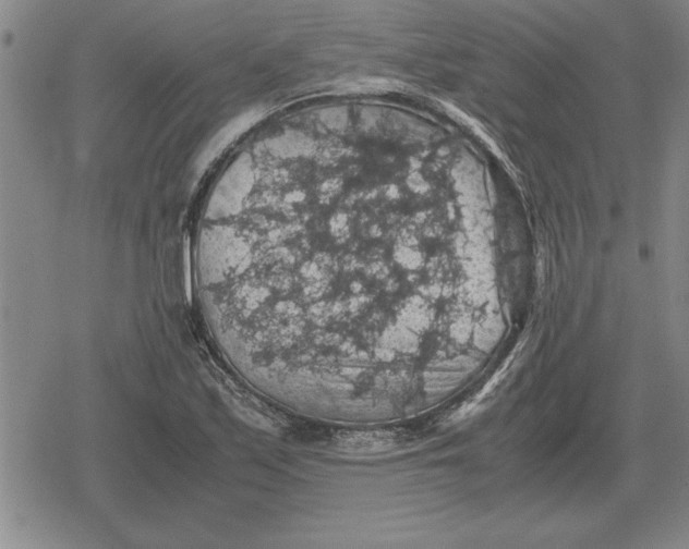 X0000079281171200612081746