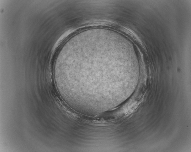 X0000079281172200612081746