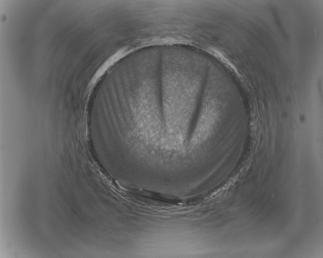 X0000079281173200612081746