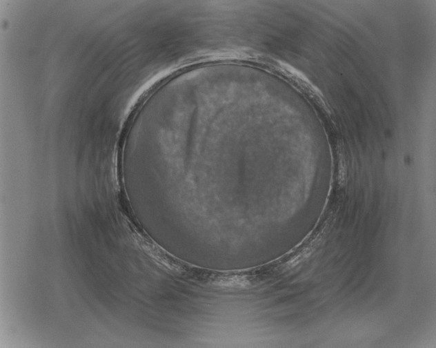 X0000079281174200612081746