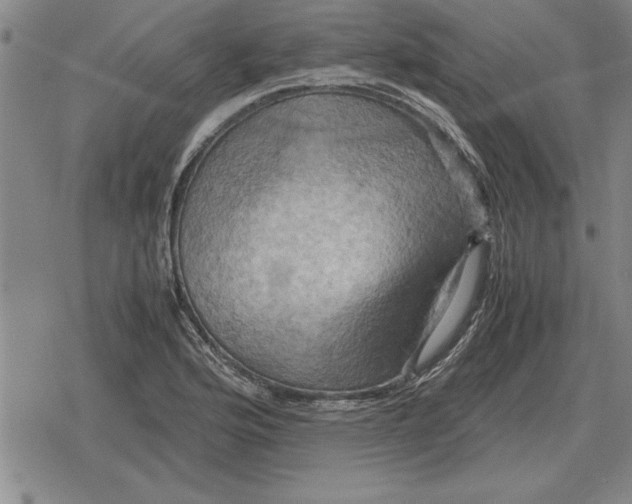 X0000079281176200612081746