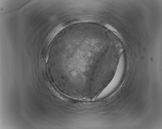 X0000079281177200612081745