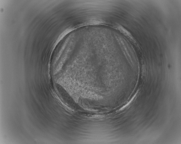 X0000079281178200612081745