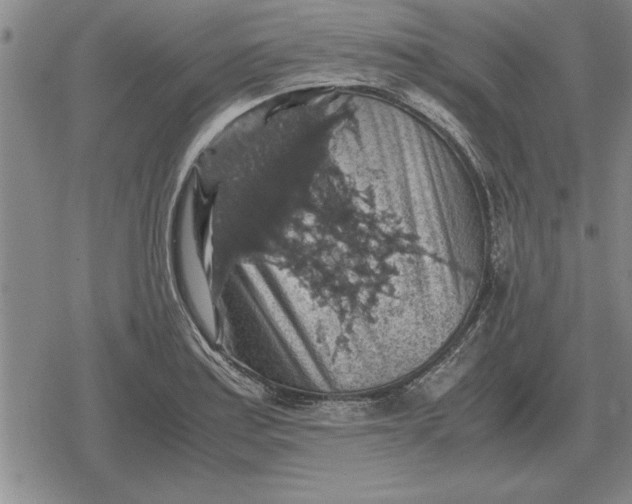 X0000079281179200612081745