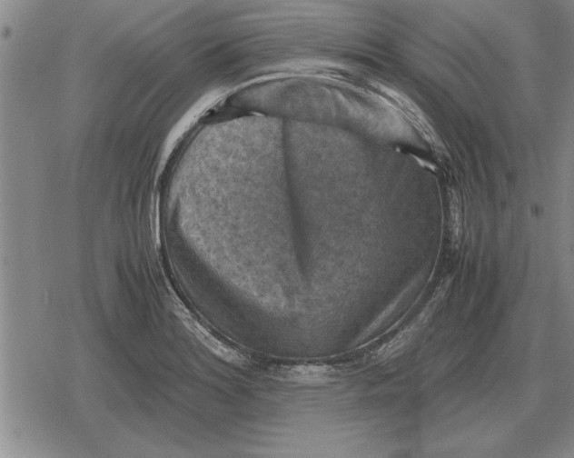 X0000079281180200612081745