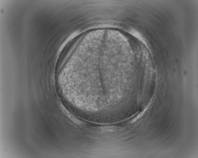 X0000079281181200612081745