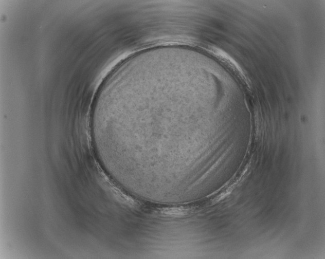 X0000079281182200612081745