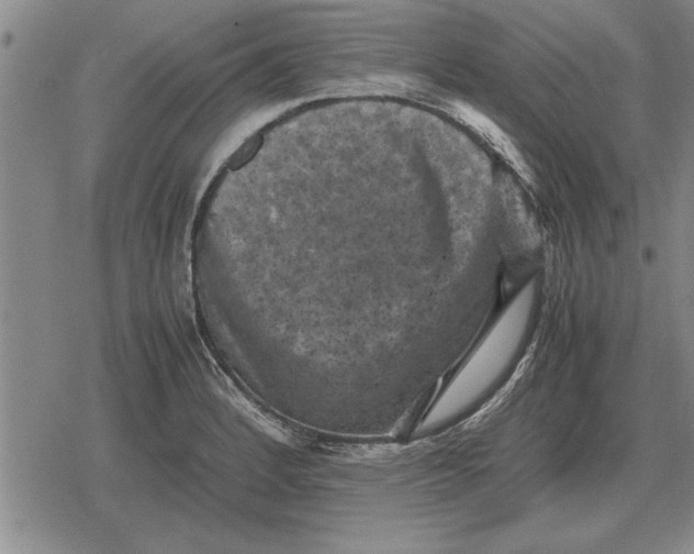 X0000079281184200612081745