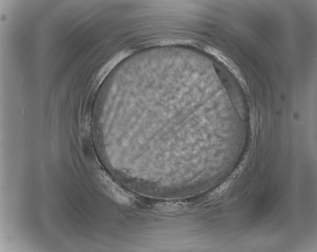 X0000079281185200612081745