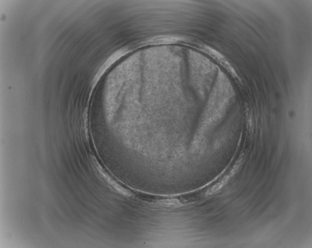 X0000079281186200612081745