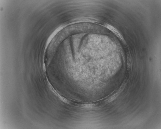 X0000079281188200612081745