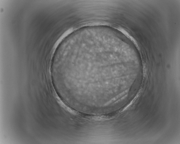 X0000079281189200612081745