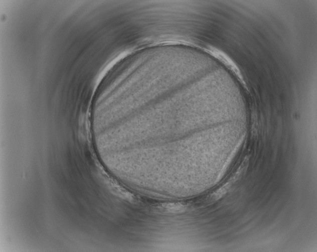 X0000079281190200612081745