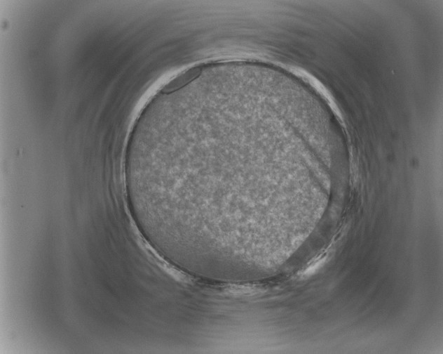 X0000079281191200612081745