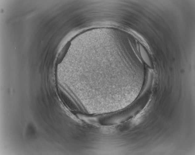 X0000079281192200612081745