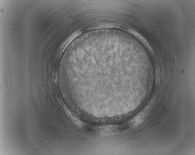 X0000079281193200612081745