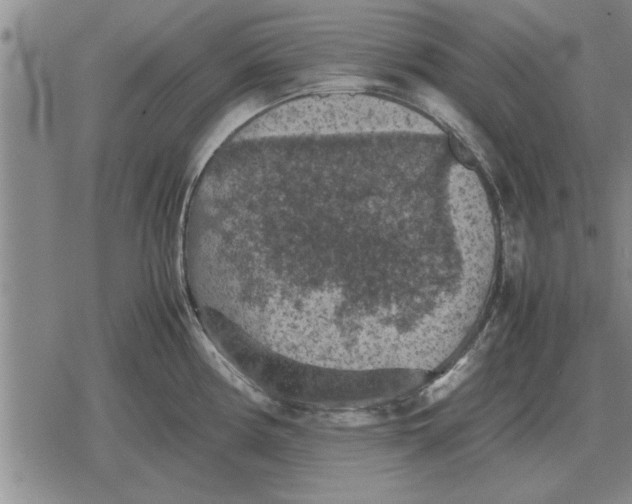 X0000079281194200612081745