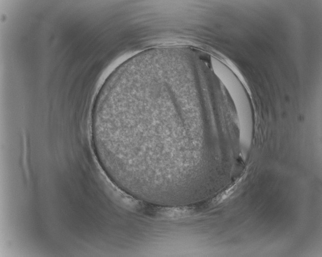 X0000079281195200612081745