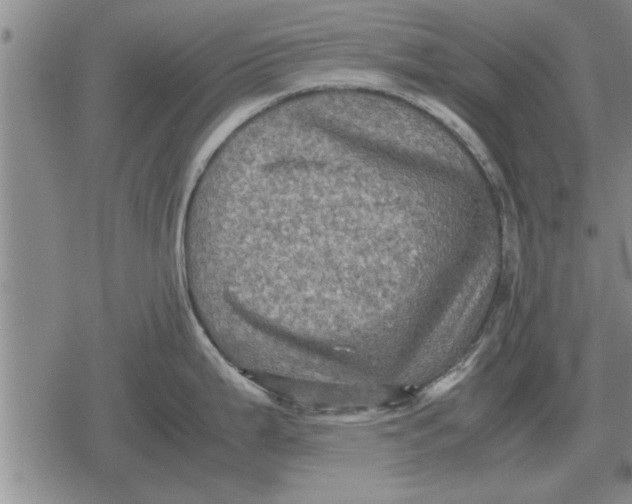 X0000079281199200612081745