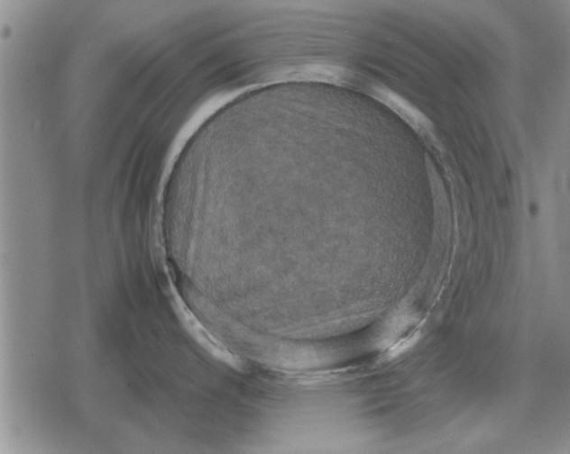 X0000079281200200612081745