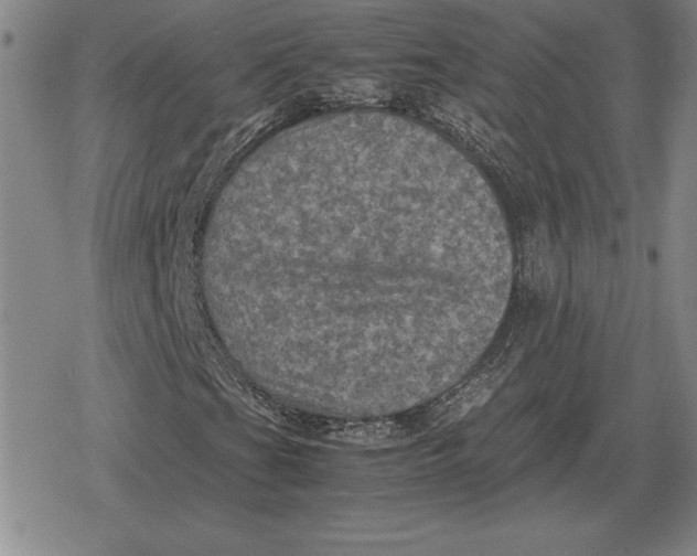 X0000079281201200612081744