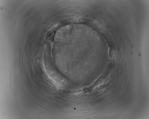 X0000079281202200612081744