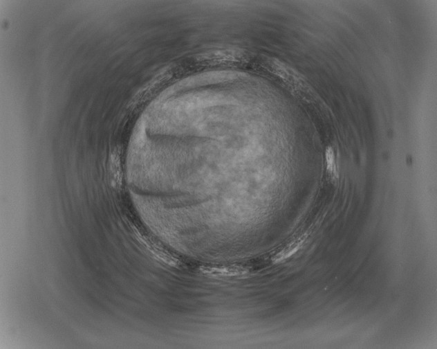 X0000079281203200612081744