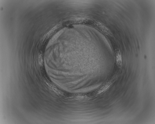 X0000079281204200612081744