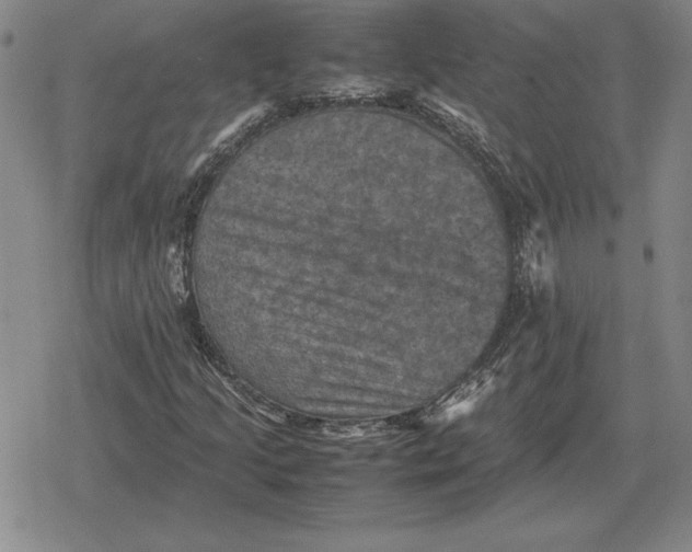 X0000079281205200612081744