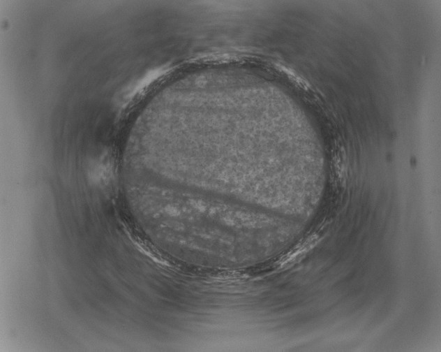 X0000079281206200612081744