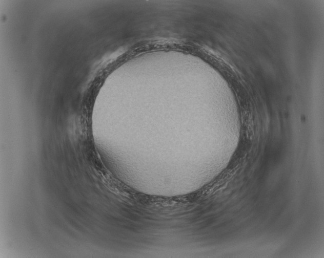 X0000079281207200612081744