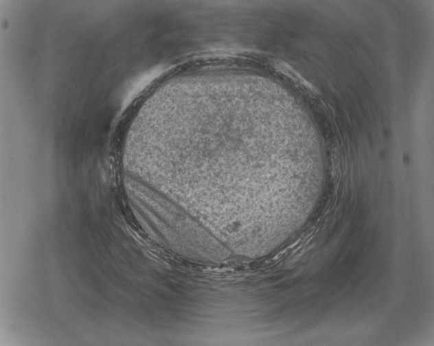 X0000079281208200612081744