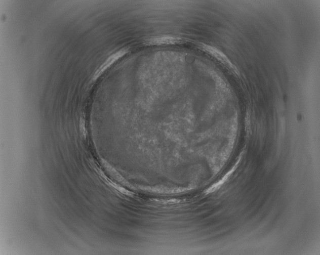 X0000079281209200612081744