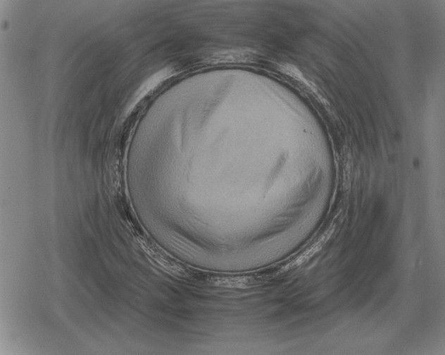 X0000079281211200612081744