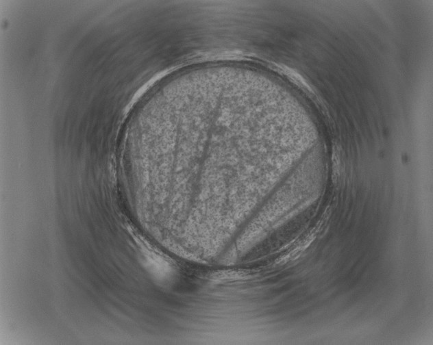 X0000079281212200612081745