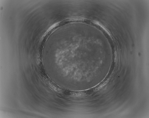 X0000079281213200612081745