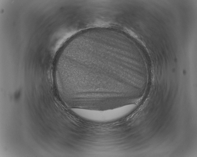 X0000079281214200612081745