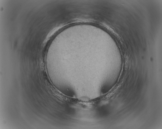 X0000079281215200612081745