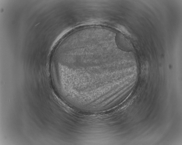 X0000079281216200612081745