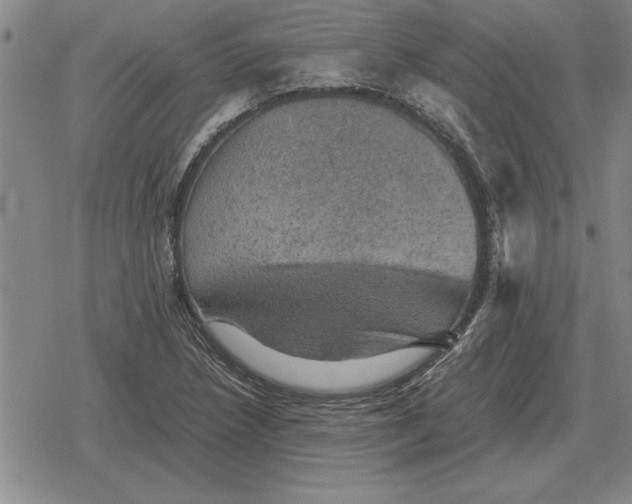 X0000079281218200612081745