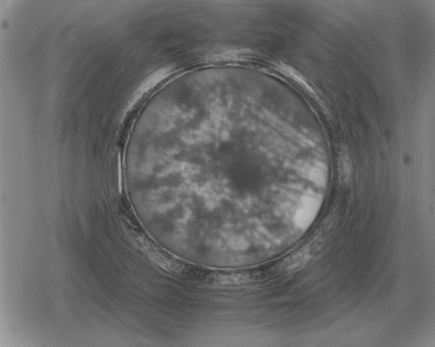 X0000079281219200612081745