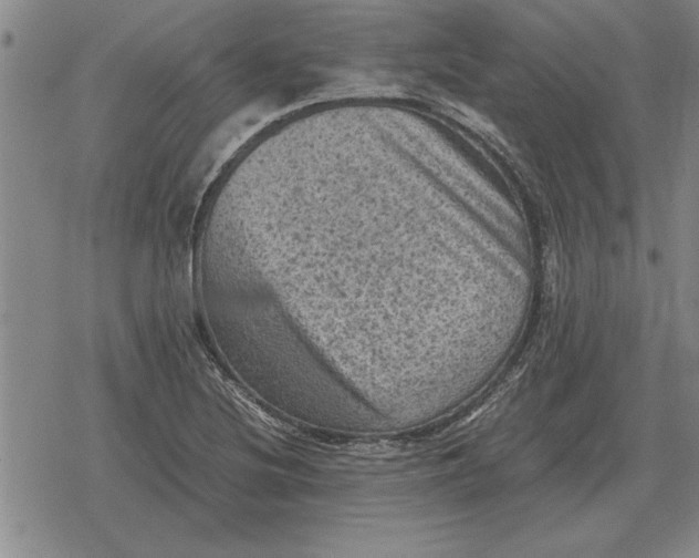 X0000079281220200612081745