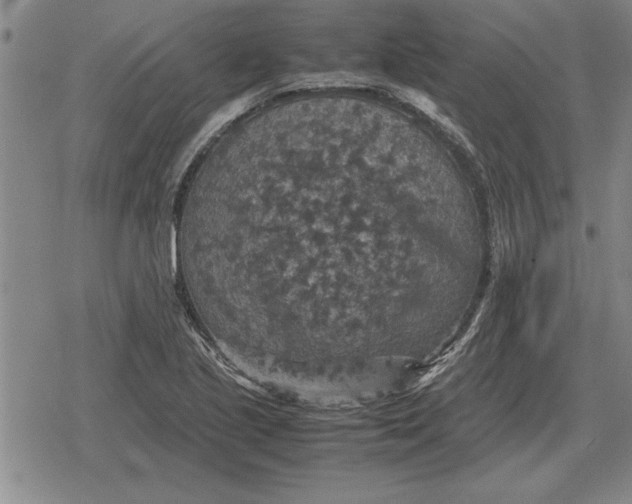 X0000079281221200612081745