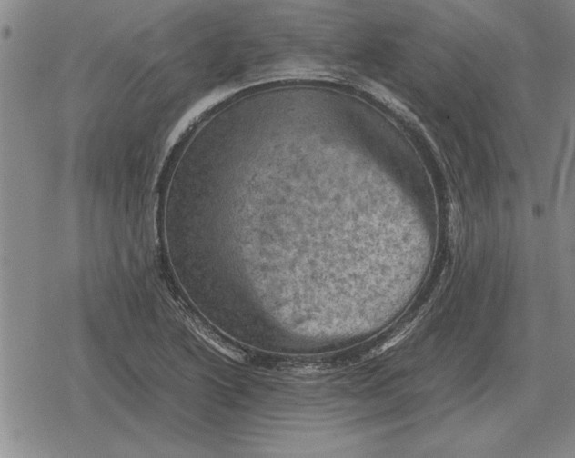 X0000079281222200612081745